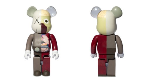 of-dissected-companion-01