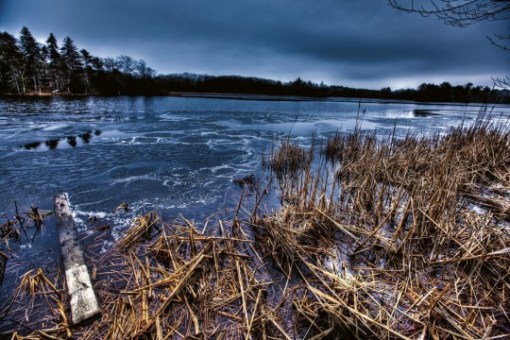 abington_cabin_dark115-540x360